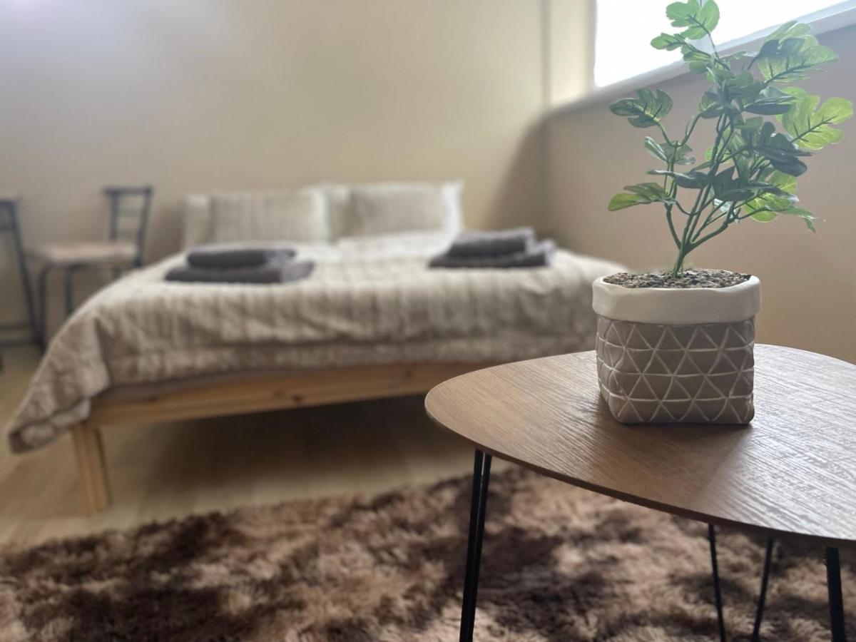 Sahy Garzon/ Studio Apartment מראה חיצוני תמונה
